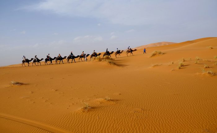13 days Tour from Agadir