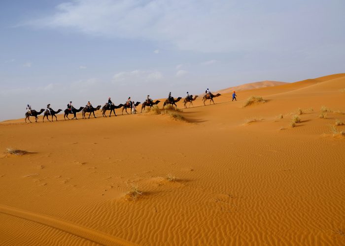 13 days Tour from Agadir